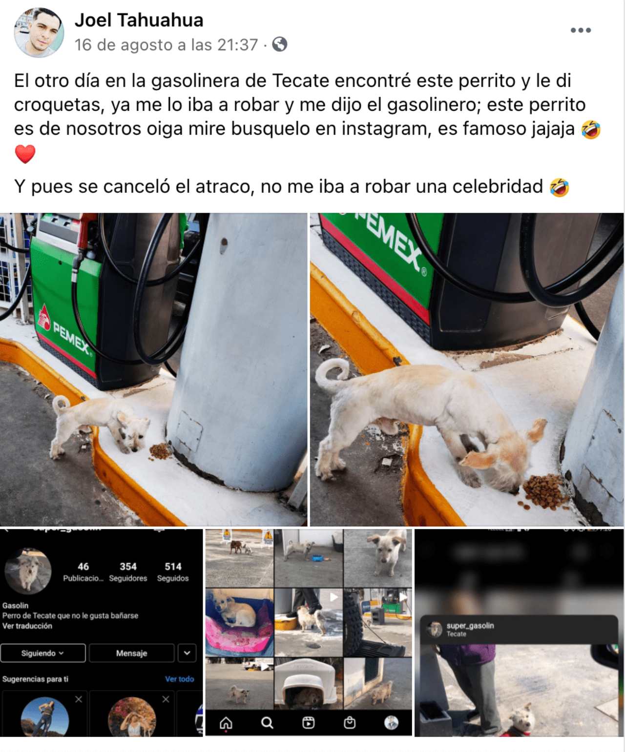 La historia del perrito gasolín