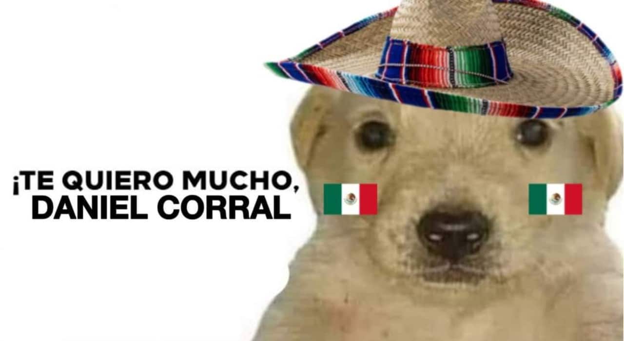 meme daniel corral tokyo 2020 perro