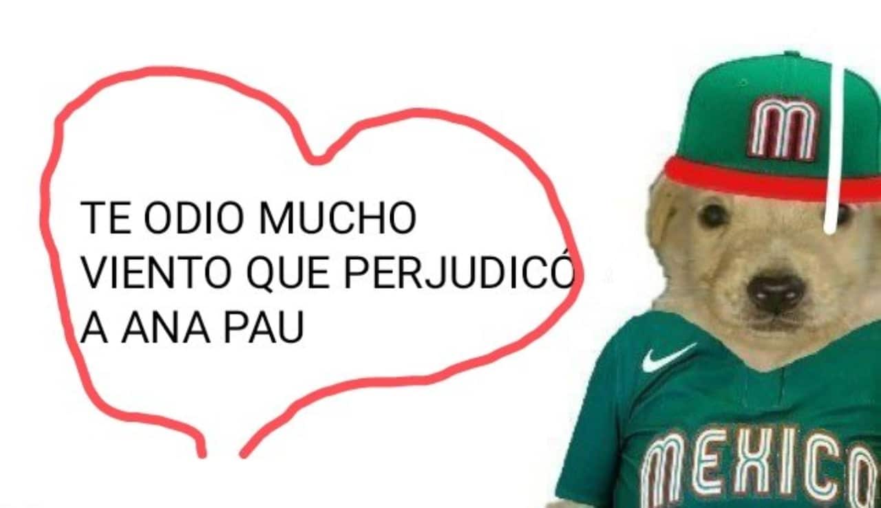 meme perro tqm aire Tokyo 2020
