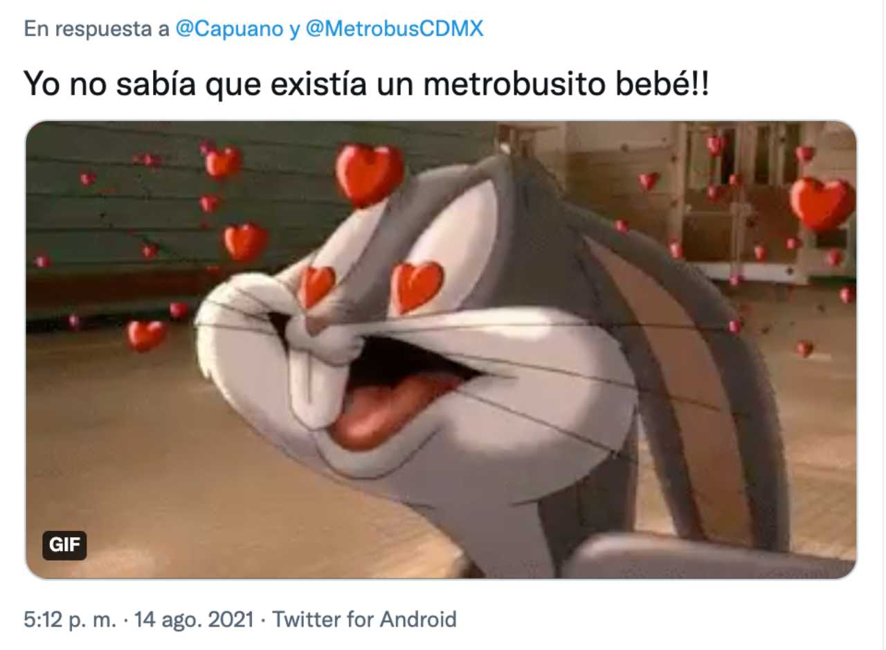 Meme del metrobusito bebÃ©
