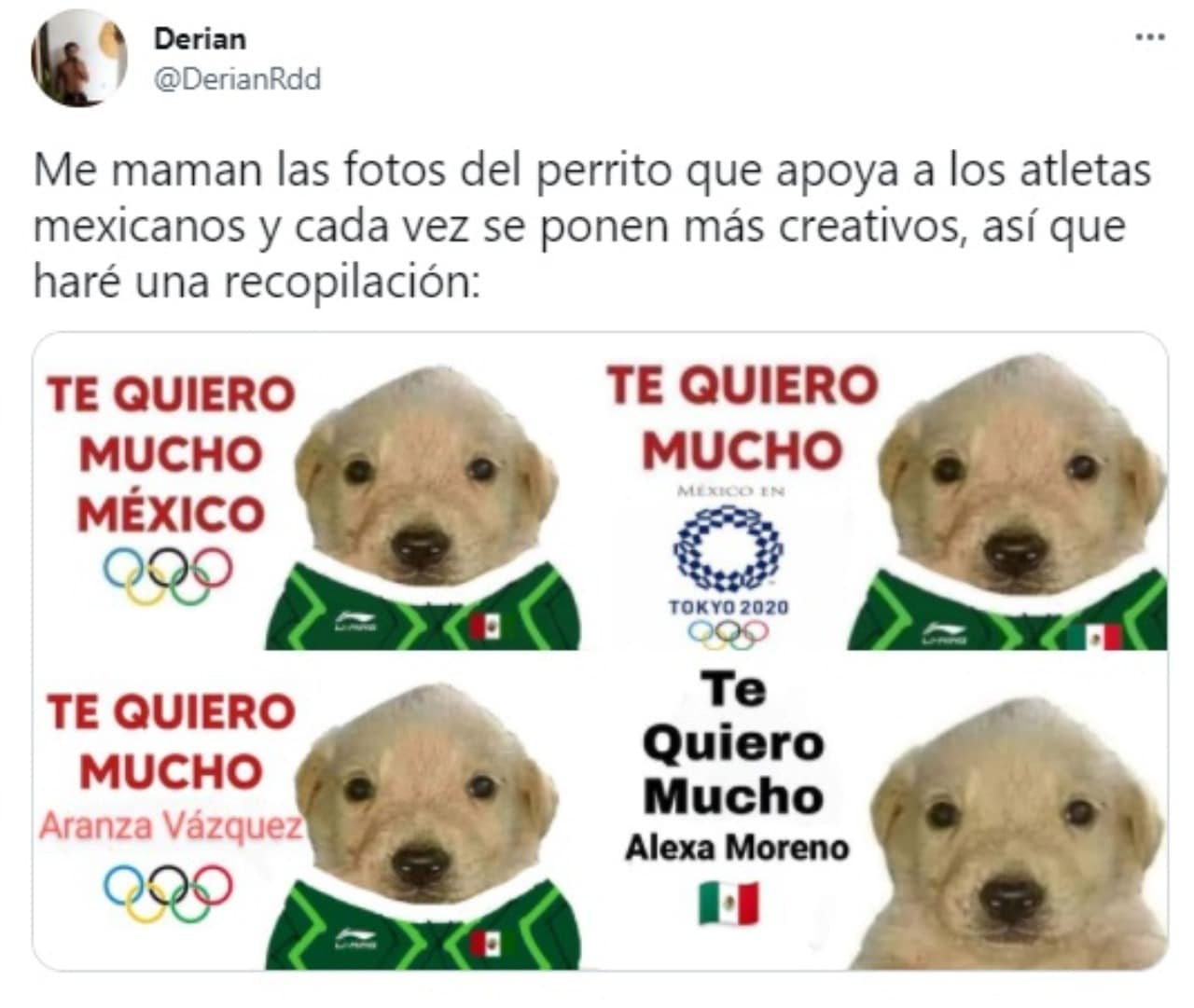 memes perrito tqm tokyo 2020 mexico