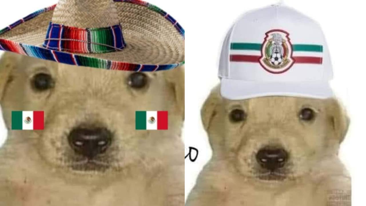 Memes perrito te quiero mucho Tokyo