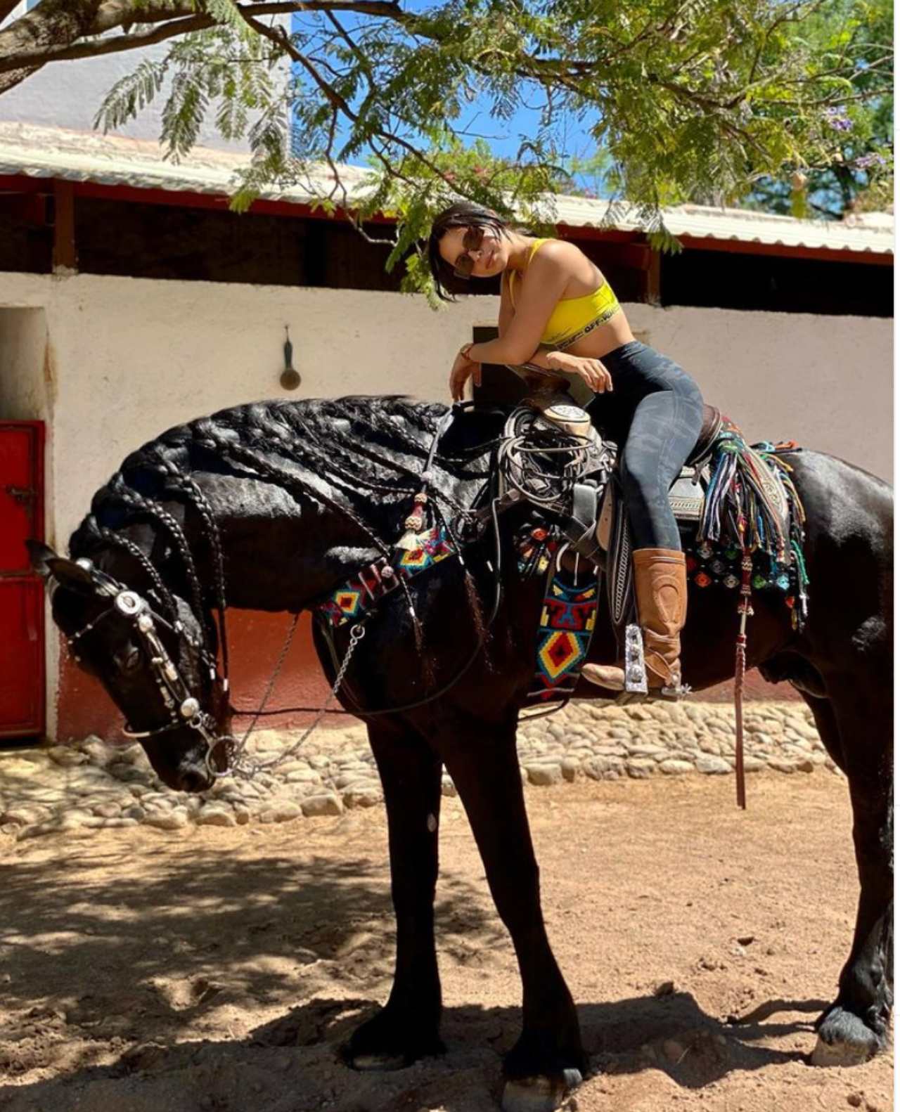 Ángela Aguilar caballo troyano