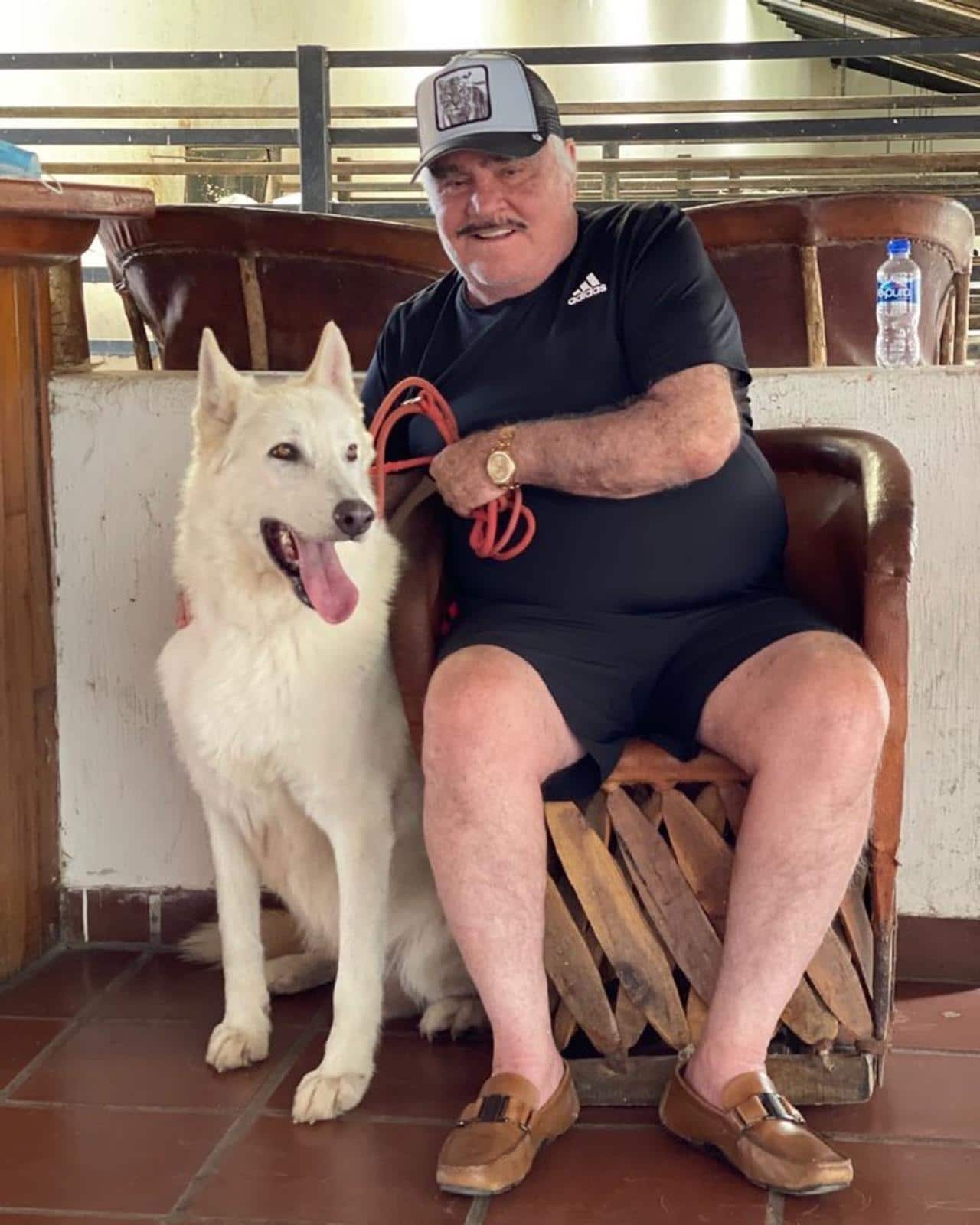 Vicente Fernandez manda mensaje terapia intensiva