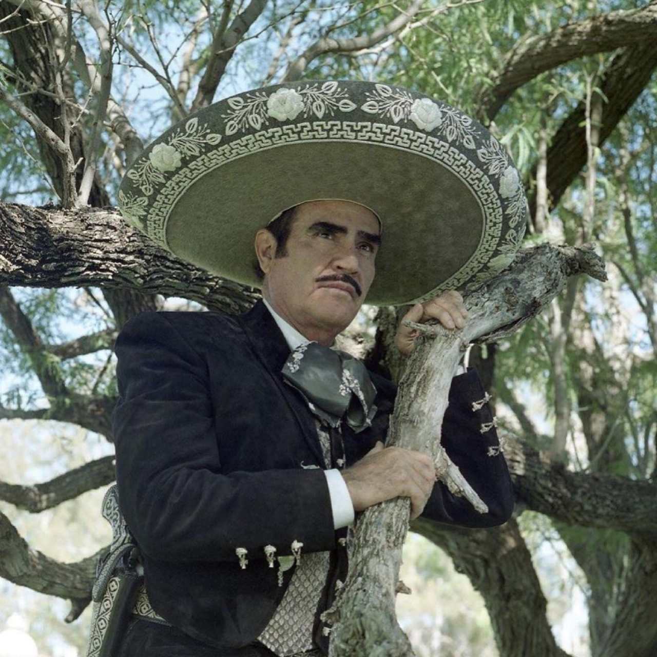 Vicente Fernandez mensajes nietos estado salud