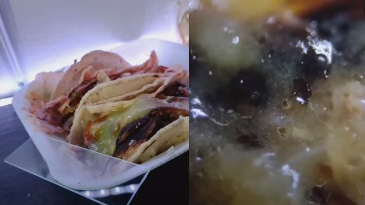 Revisa los tacos callejeros con microscopio