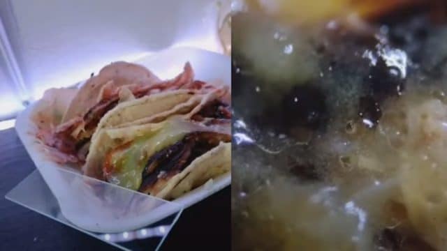 Revisa los tacos callejeros con microscopio