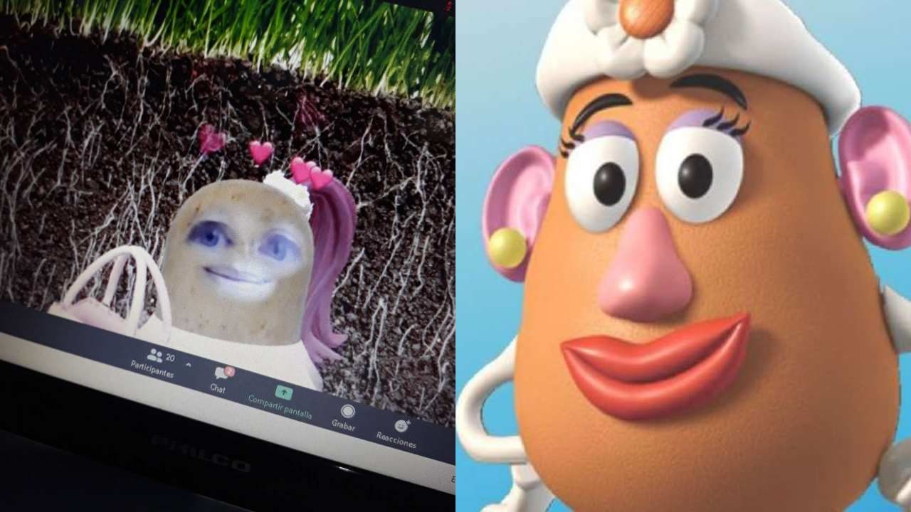 cara papa filtro