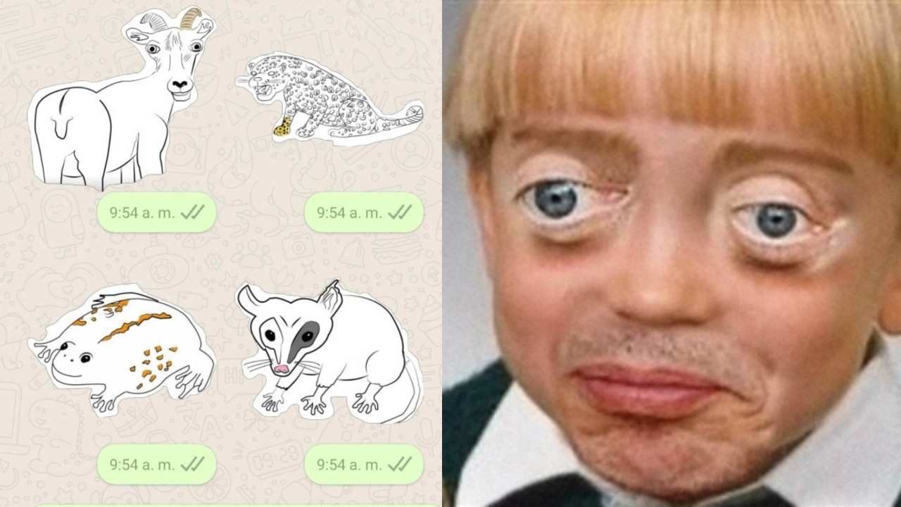 PROFEPA cricosos meme