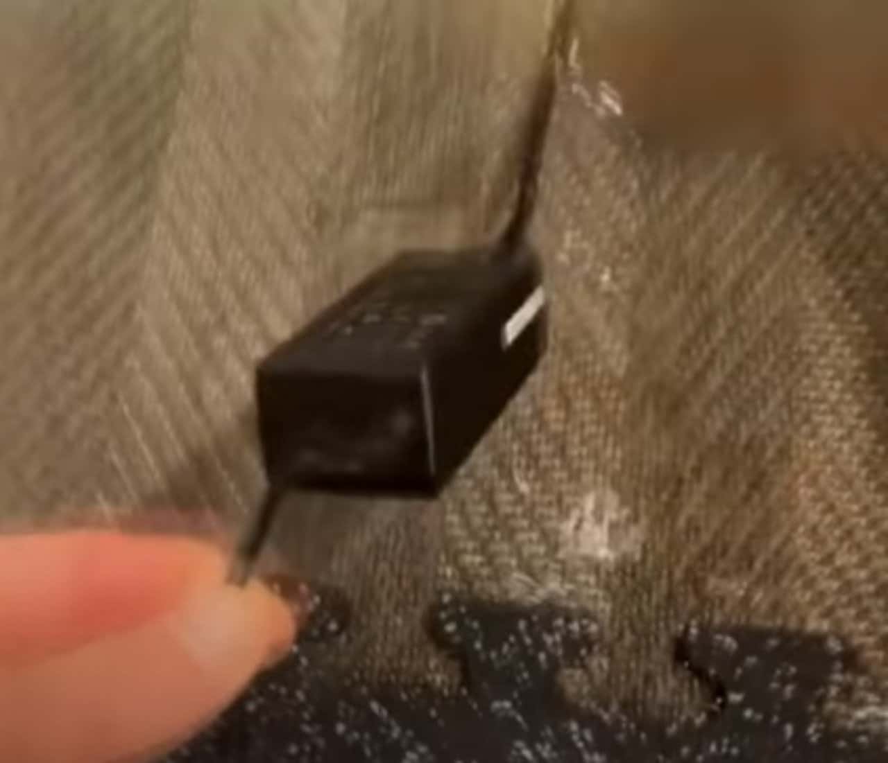 Casa de Thalia se inunda cables