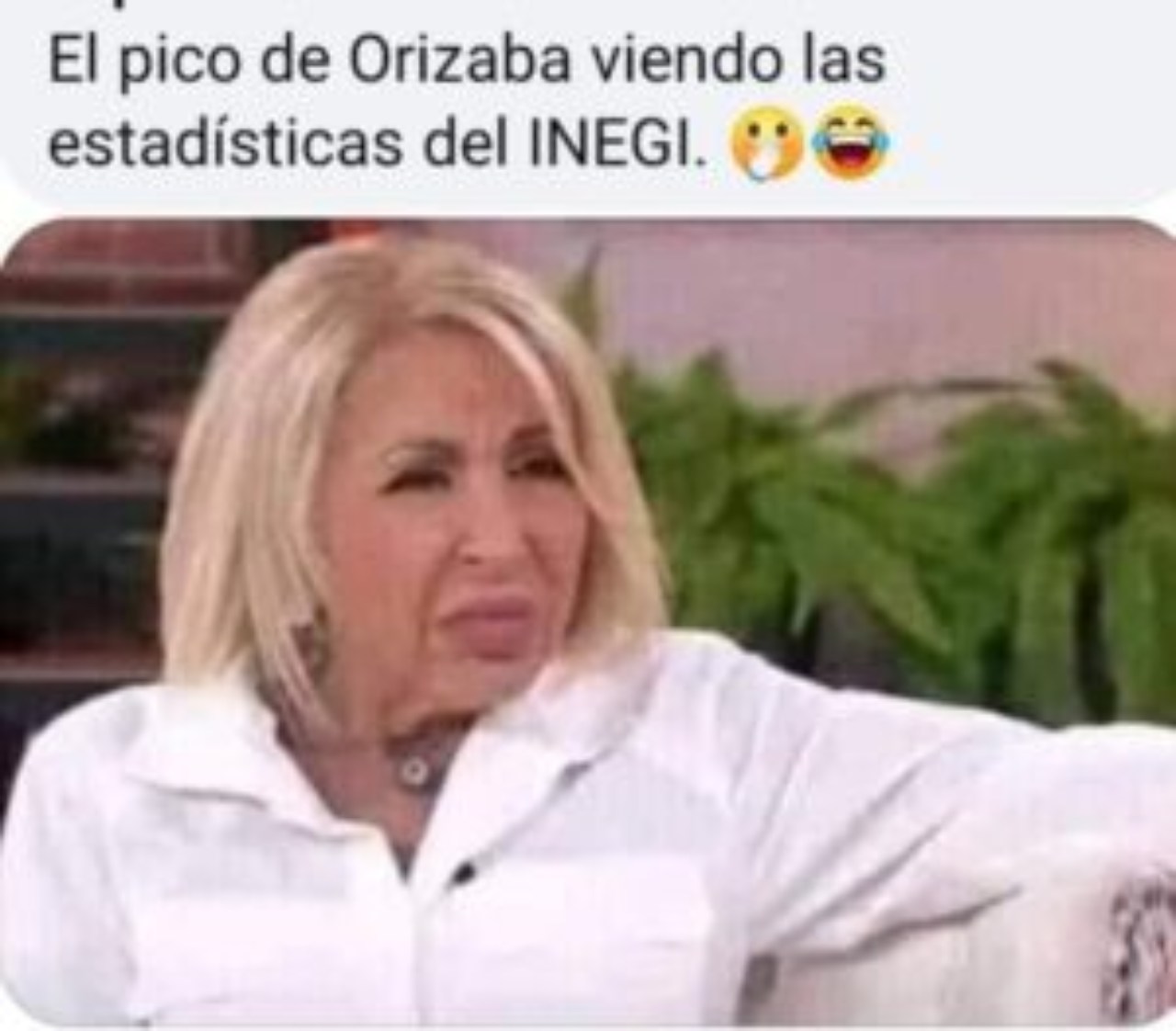 Meme del pico de orizaba de Laura Bozzo