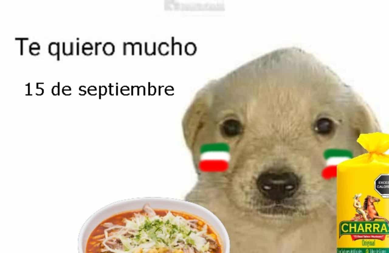 perro te quiero mucho mexico