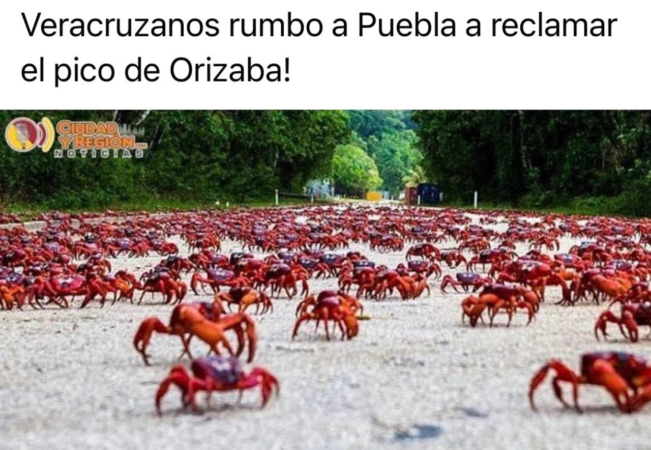 memes pico orizaba