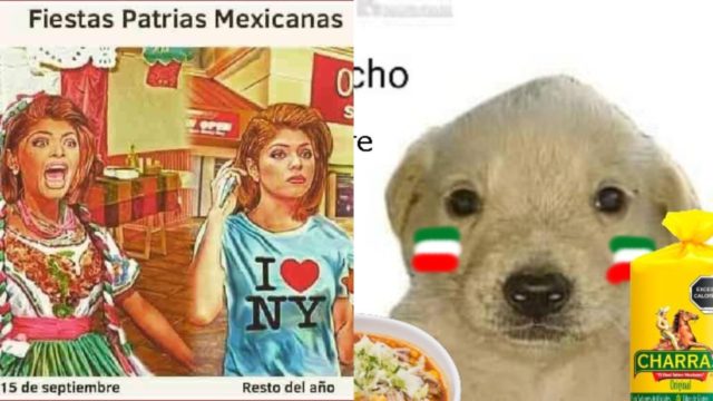 Memes dia de la independencia Mexico