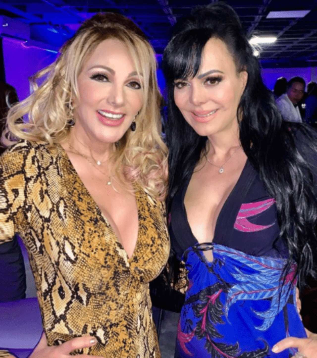 olivia collins maribel guardia daniel bisogno