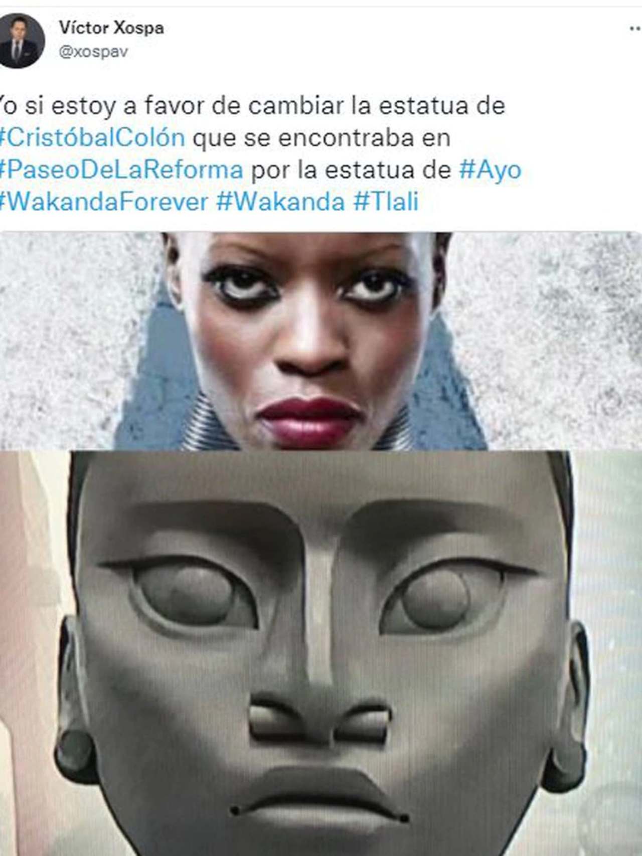 wakanda colón estatua indigena