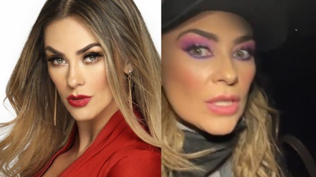 Aracely Arambula reportera abre puerta camioneta