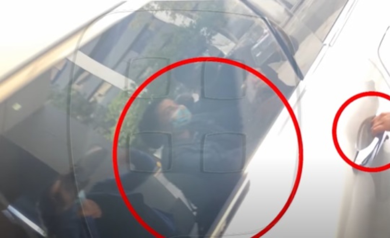 Reportera abre puerta camioneta Aracely Arambula