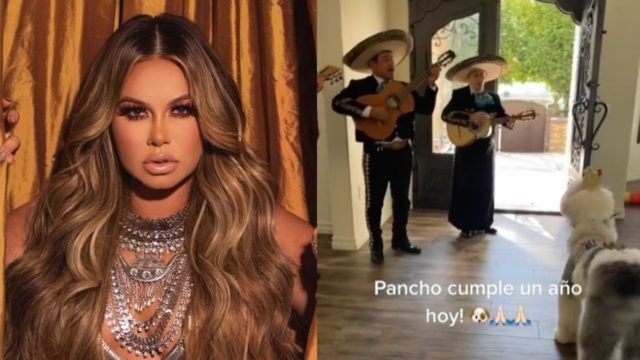 Chiquis Rivera fiesta sorpresa perro Pancho