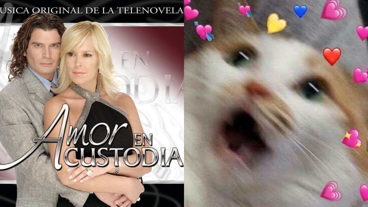 amor custodia telenovela