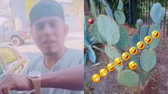 Extranjero insulta a mexicanos por comer nopales y nos compara con â€œvacas y marranosâ€