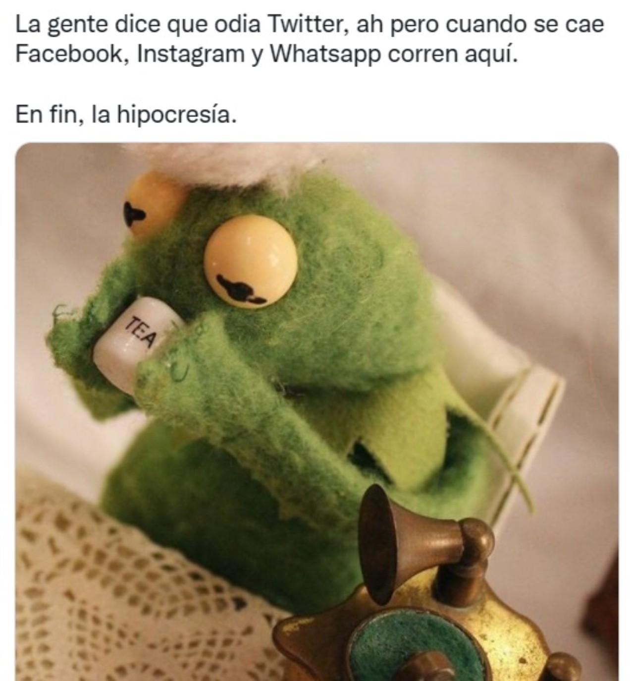 rana rene caida whatsapp facebook instagram