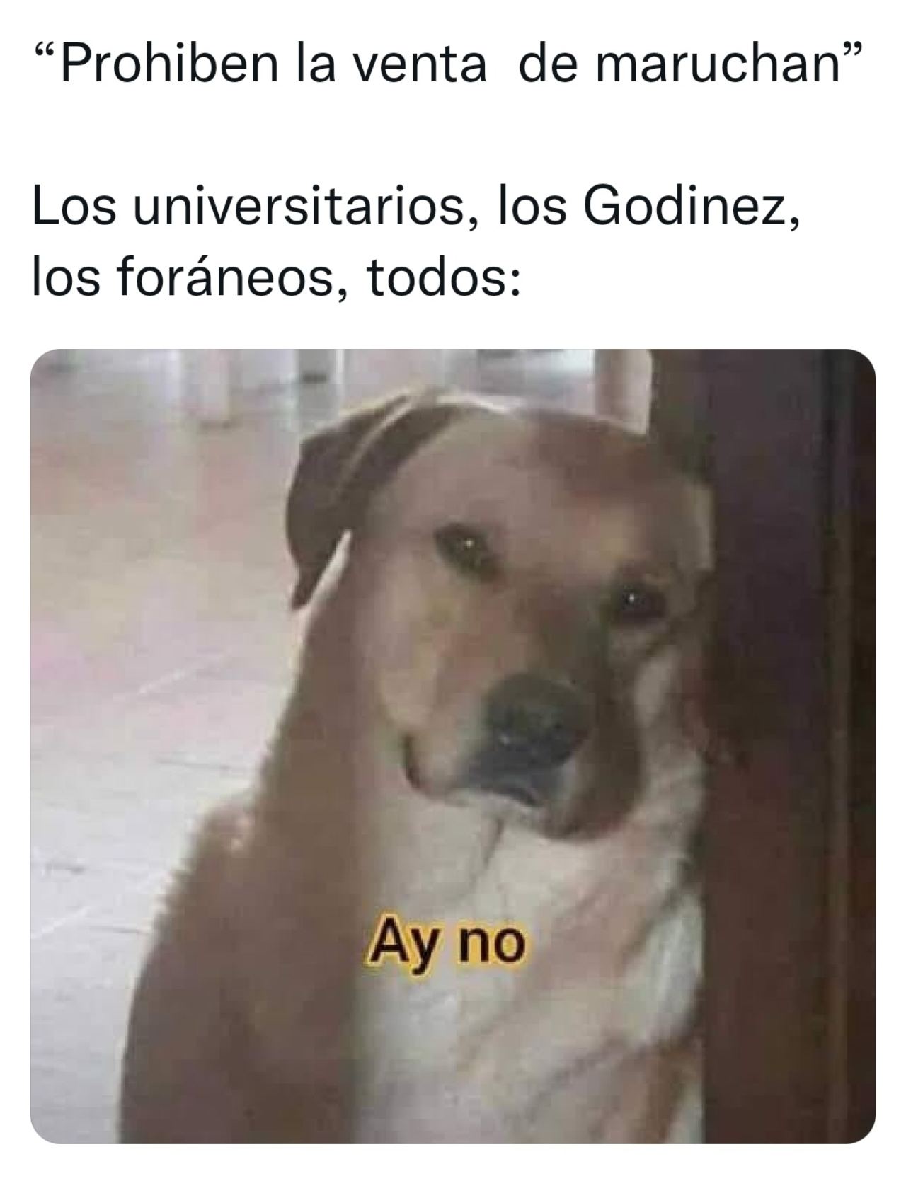foráneos sopa fin adiós profeco