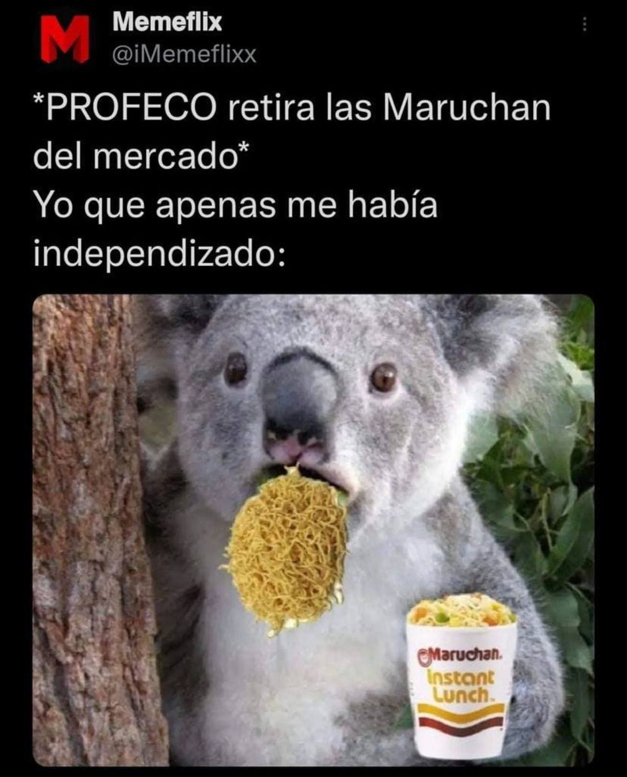 koala maruchan sopita adiós profeco