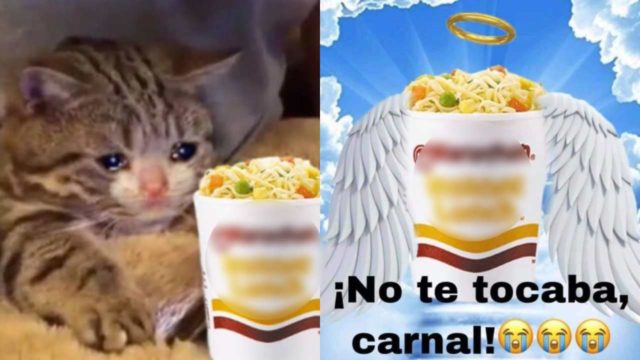 memes sopa maruchan