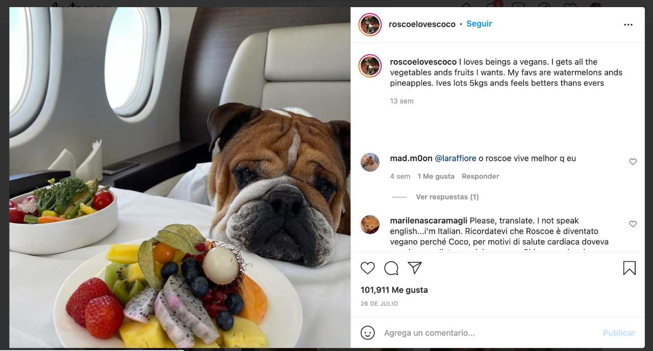 Lewis Hamilton y su perro vegano