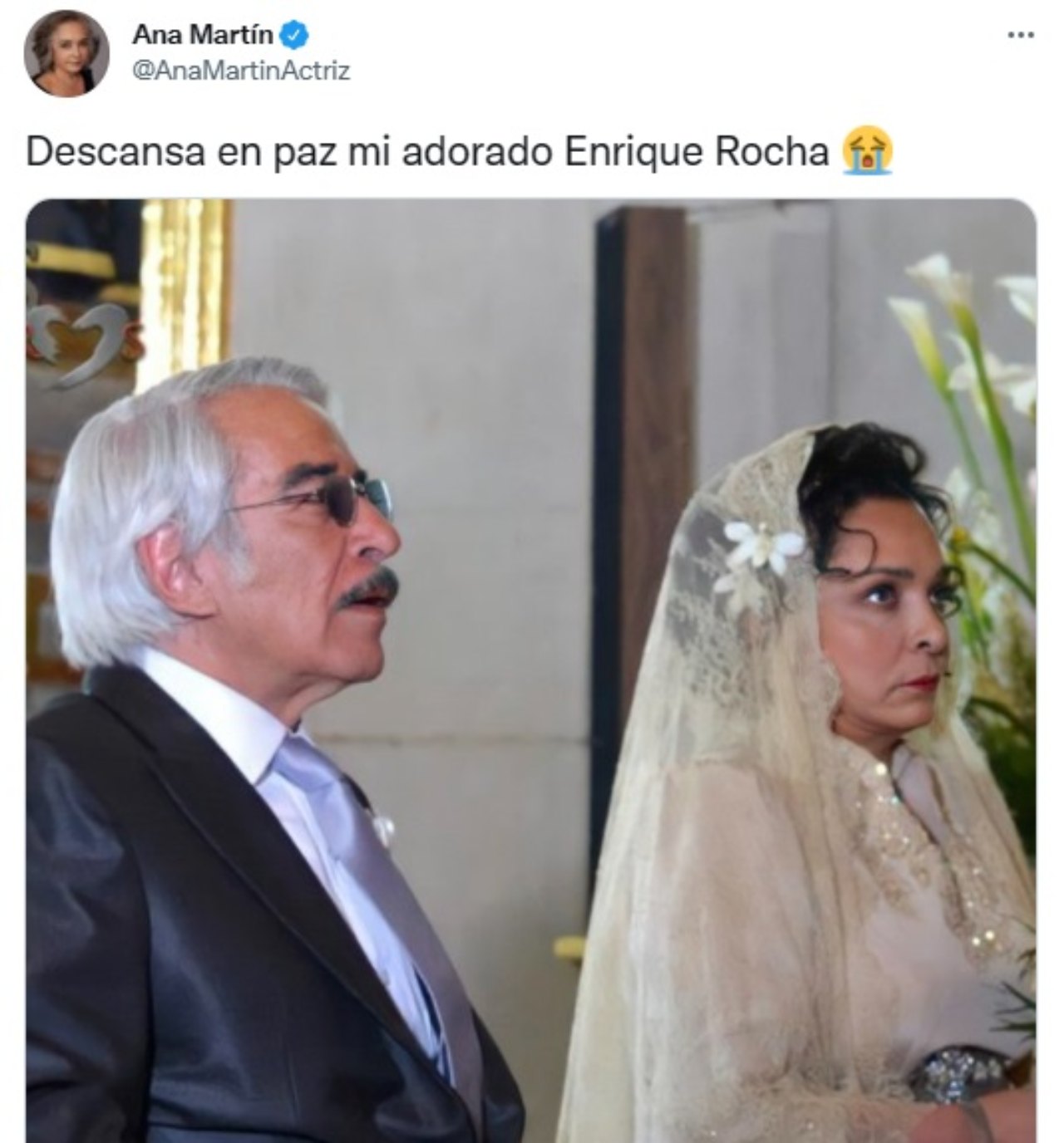 Ana Martin se despide Enrique Rocha