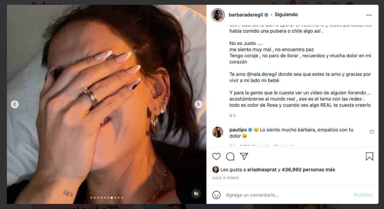 Bárbara de Regil devastada tras la muerte de su perrita