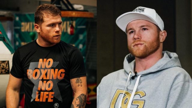 Canelo quita reggaeton pelea caleb plant