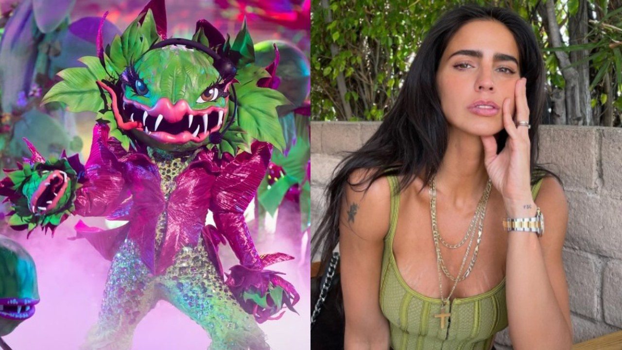 Carnivora barbara de regil pistas programa