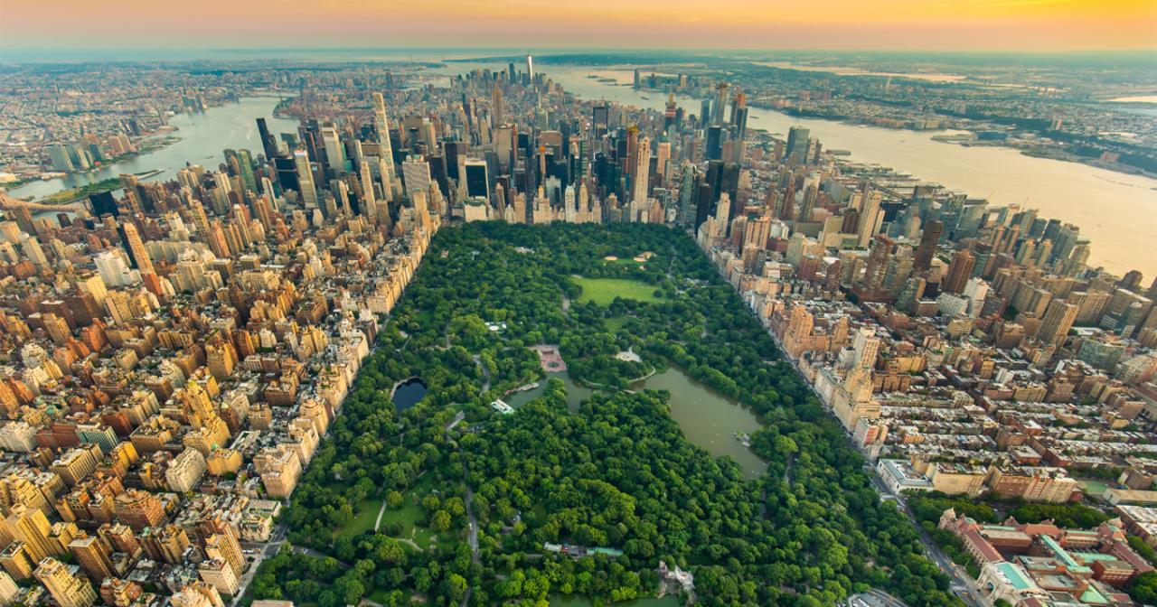 Central Park nueva york version chafa