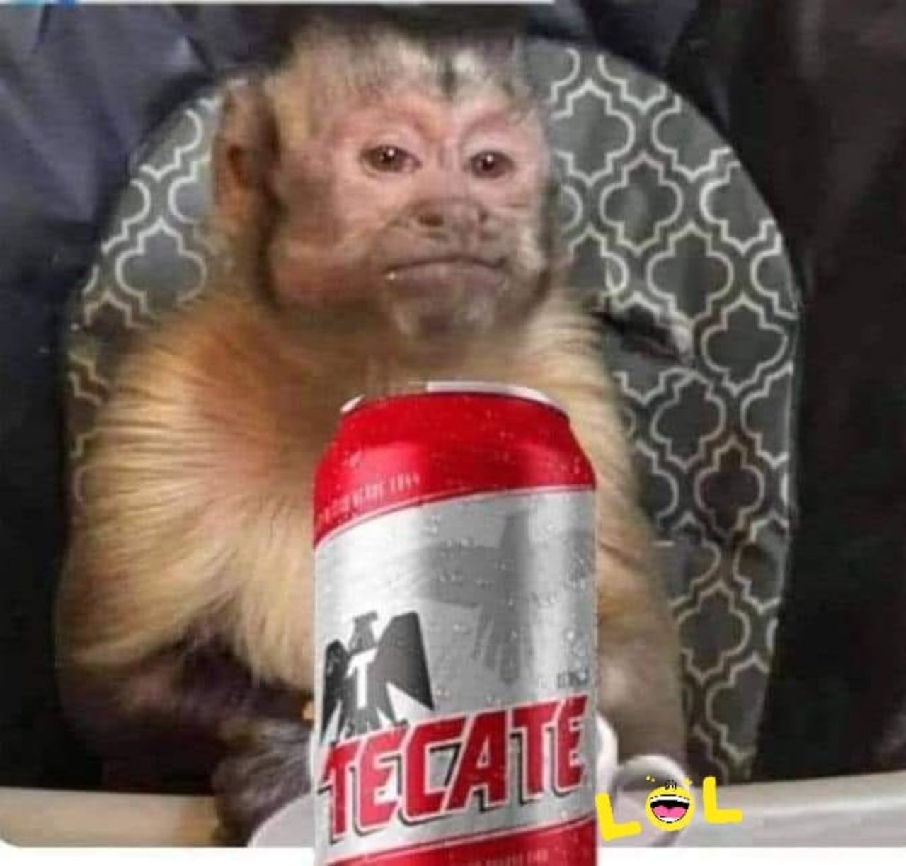daño cerveza meme changuito
