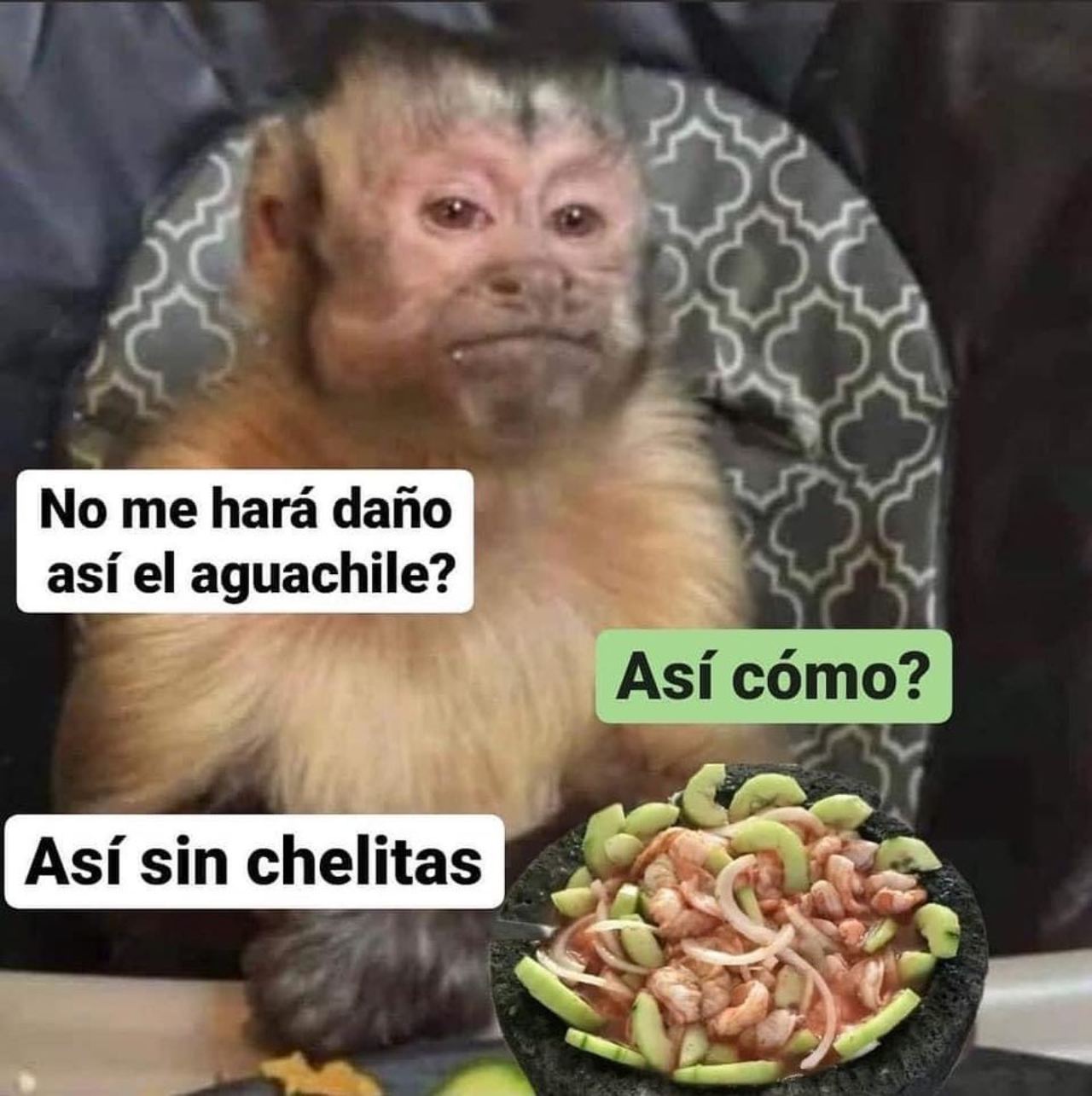 changuito aguachile daño así