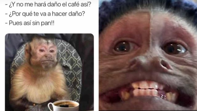 george changuito meme daÃ±o