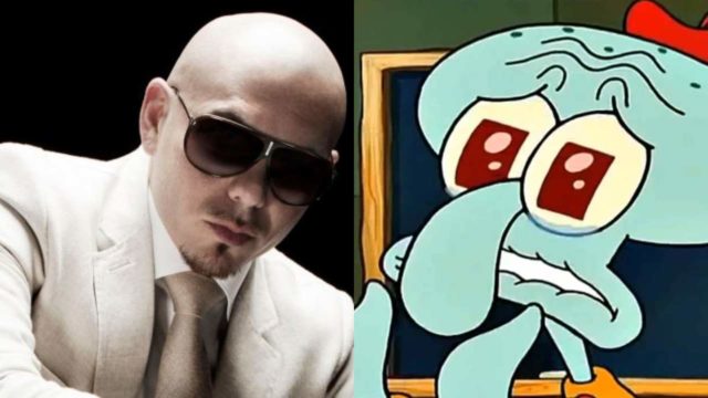 Pitbull calamardo