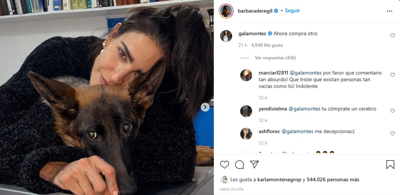 Gala Montes Barbara de Regil perro