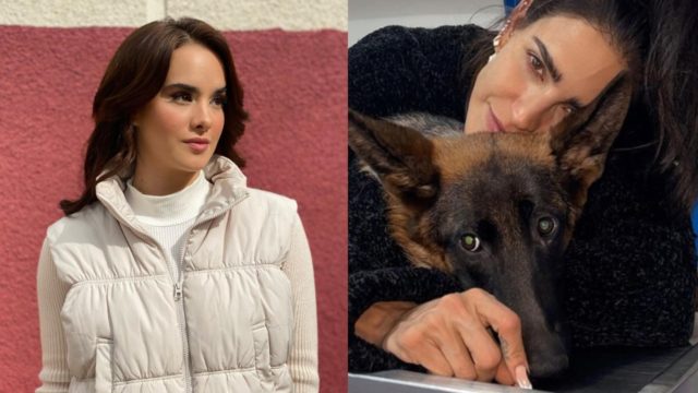 Gala Montes comentario Barbara de Regil