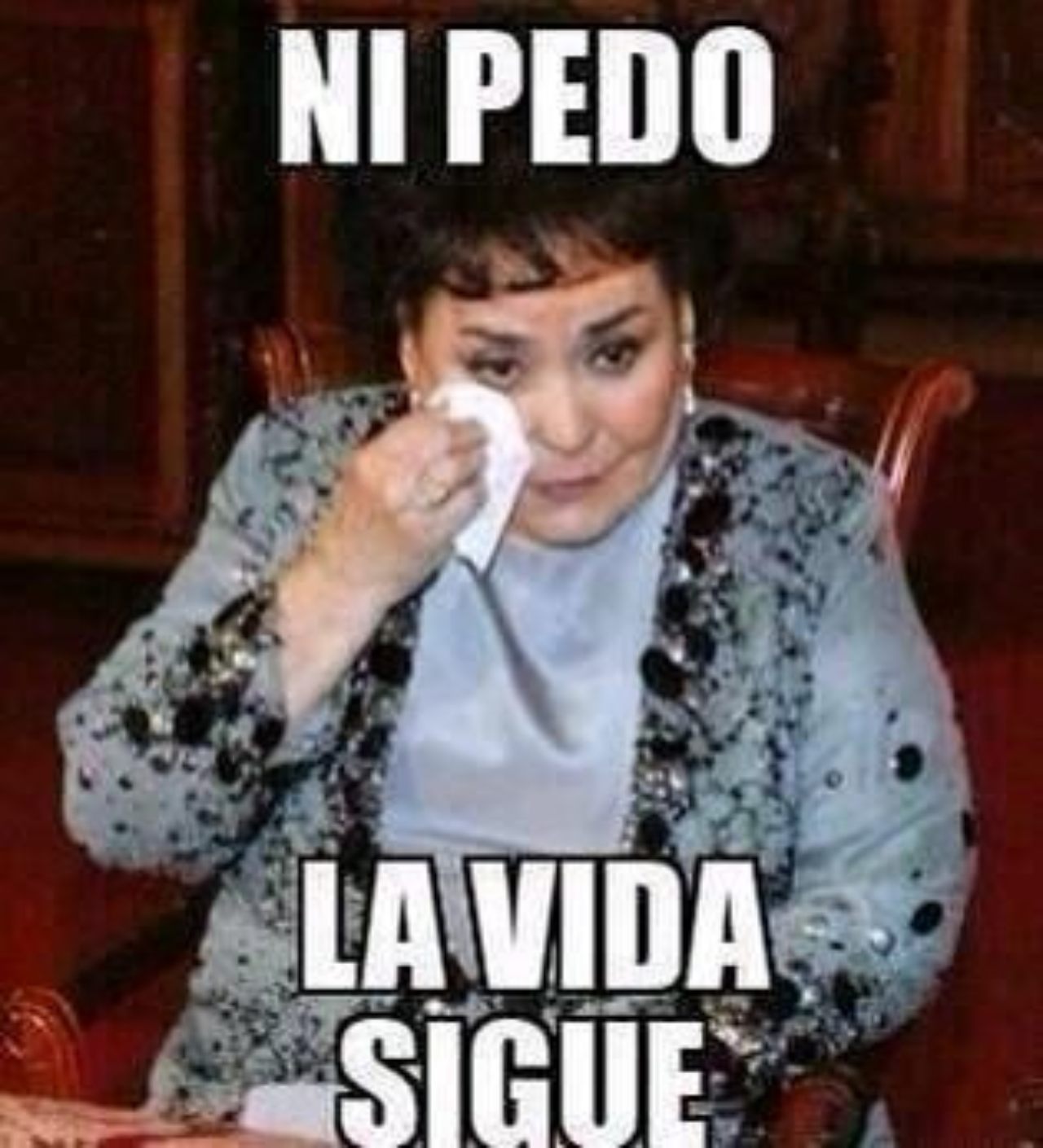 meme carmen salinas la vida sigue