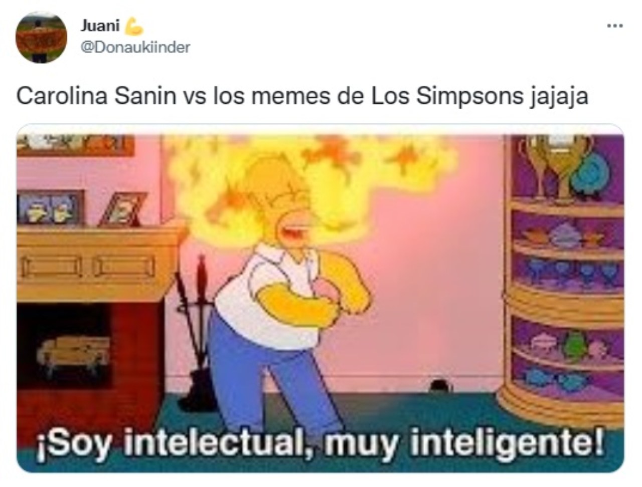 Carolina Sanin escritora memes Simpson intelectual