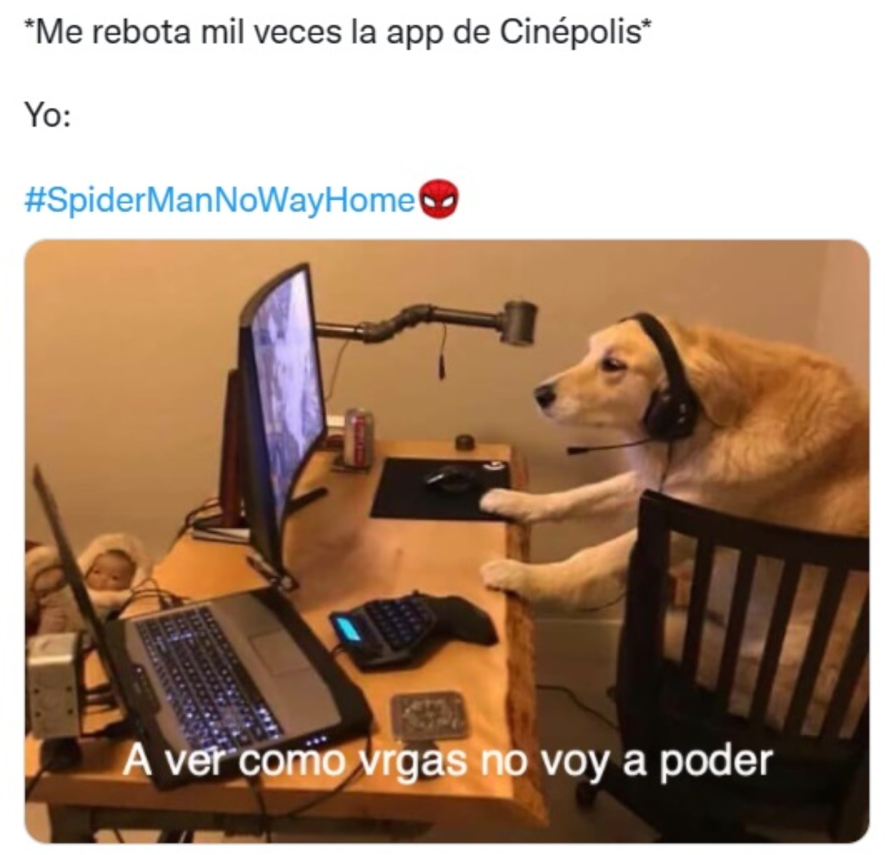 meme buscando boletos spiderman perro cine