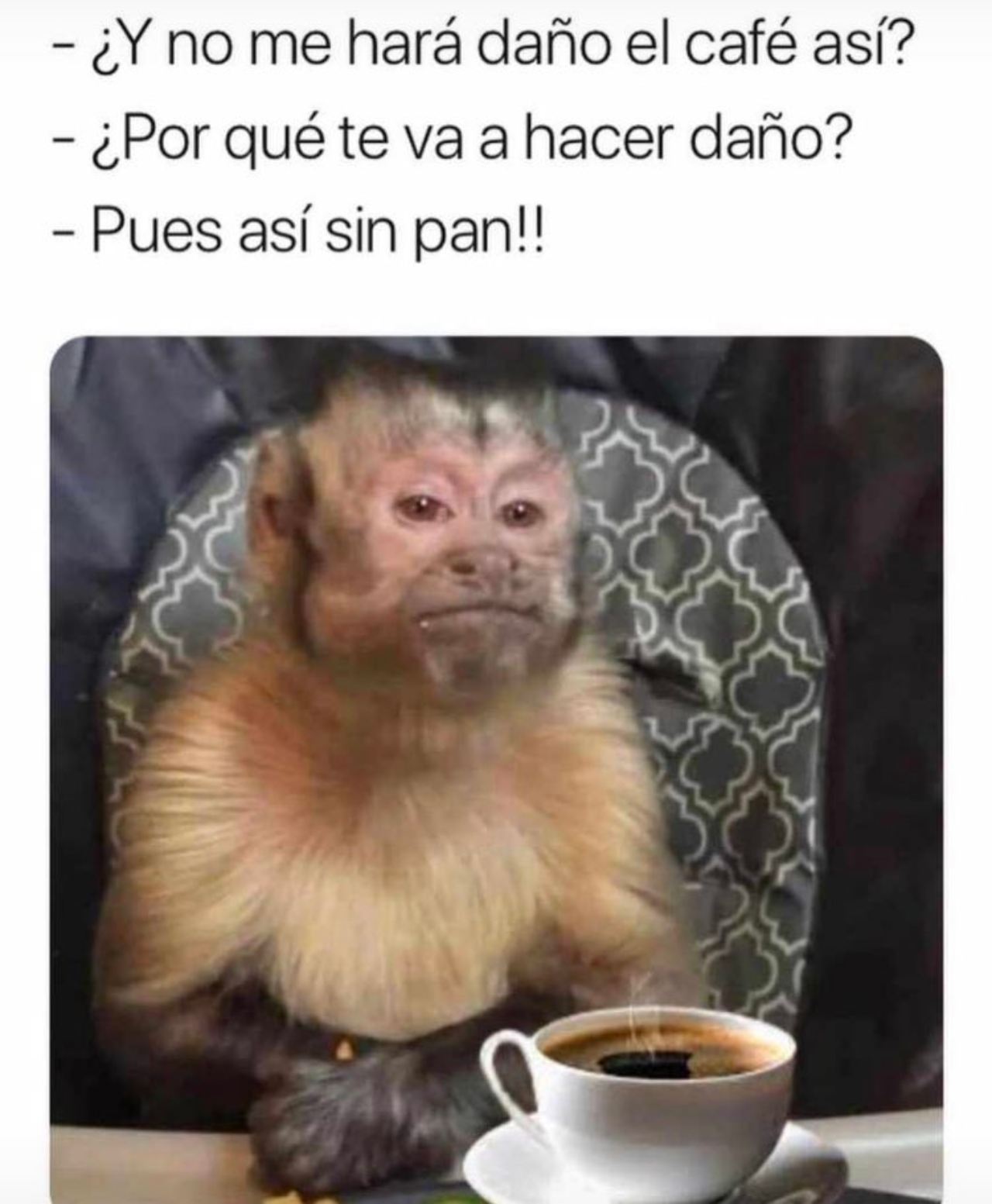 pan changuito daño memes