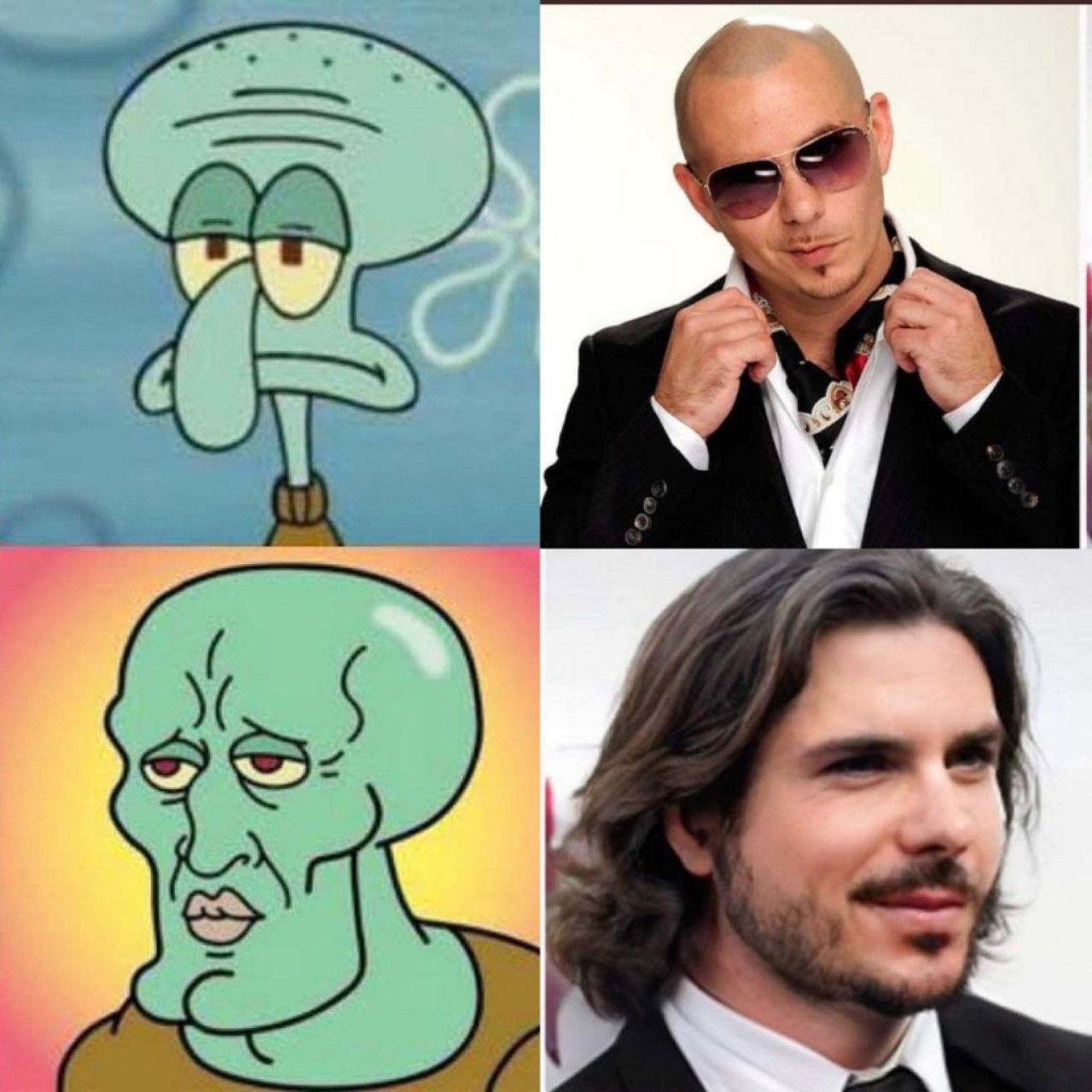 Calamardo Pitbull