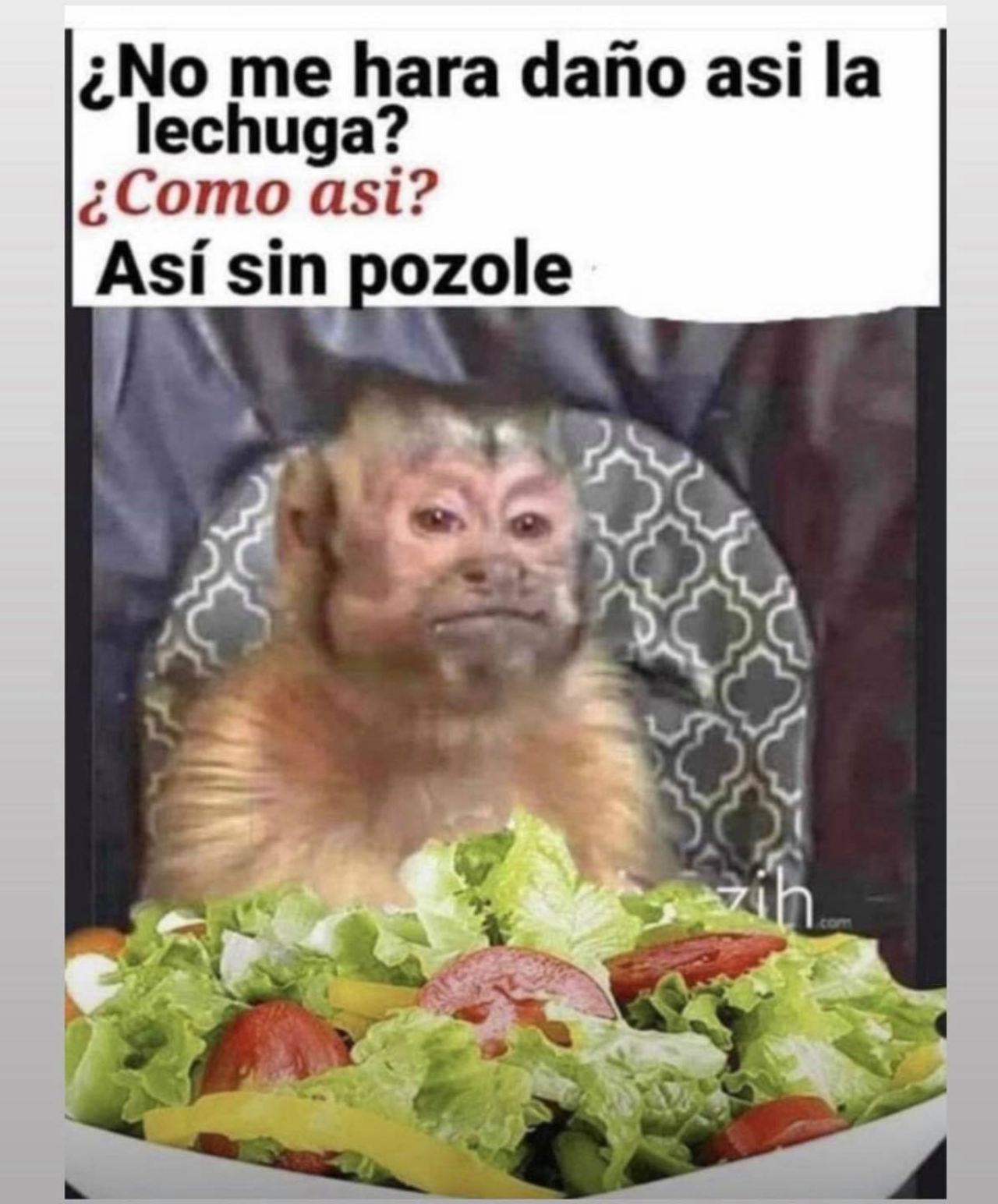 lechuga pozole meme changuito George