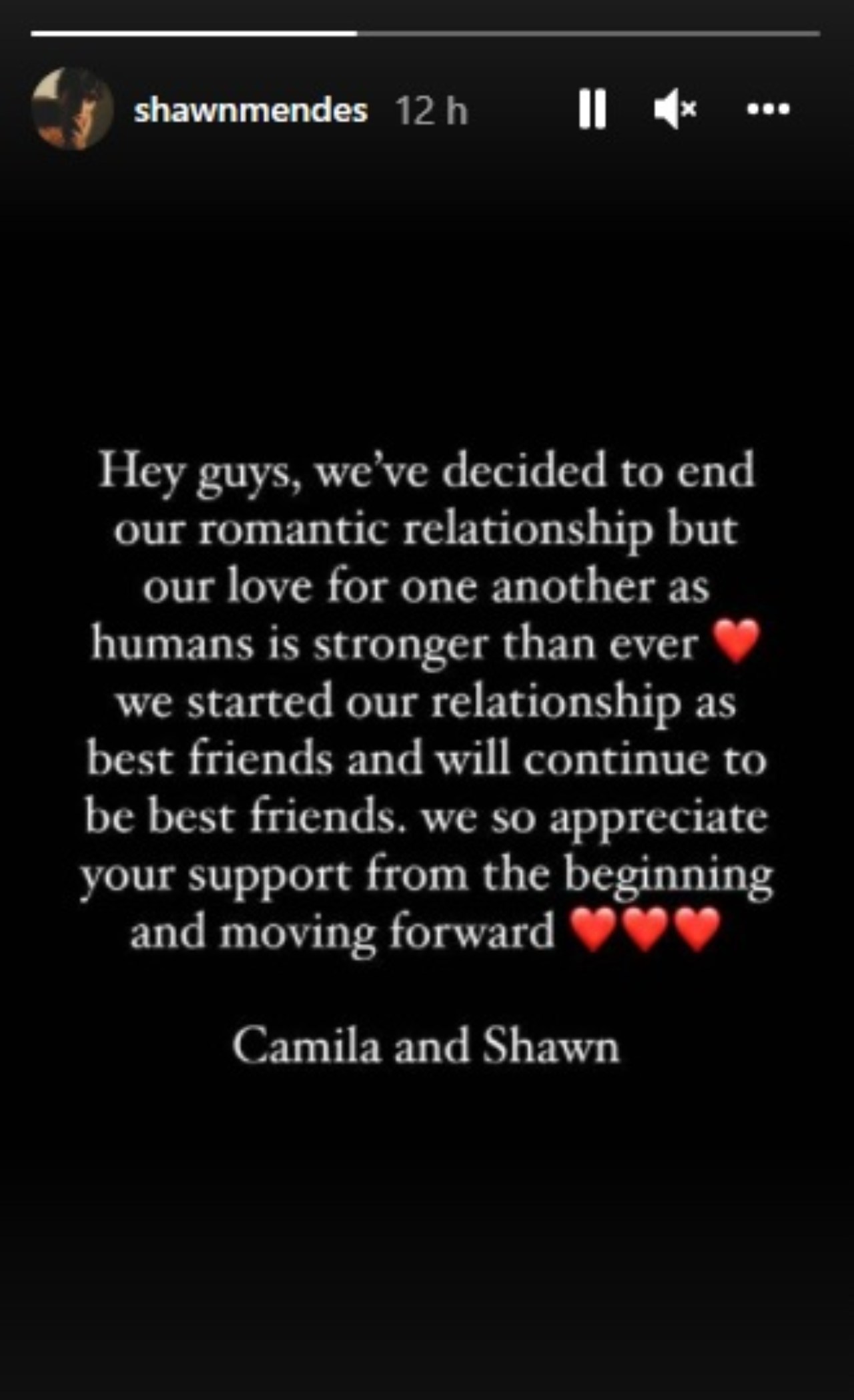 Camila Cabello Shawn Mendes comunicado oficial