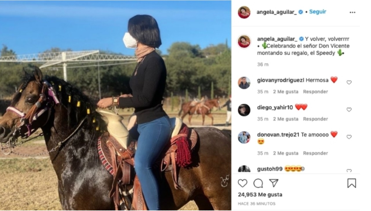vicente fernandez angela aguilar caballo heredado