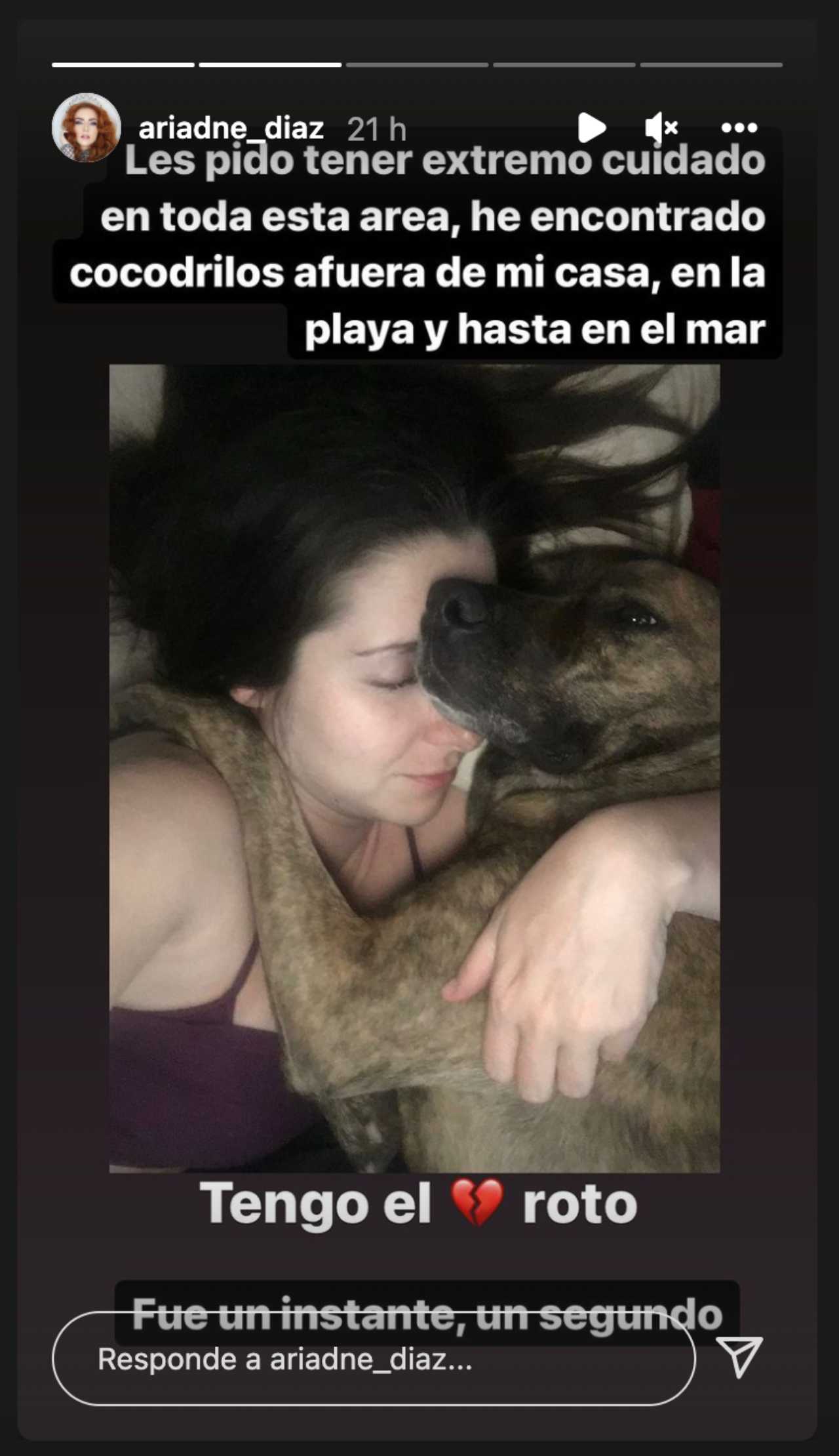 Ariadne Díaz revela que su perro murió